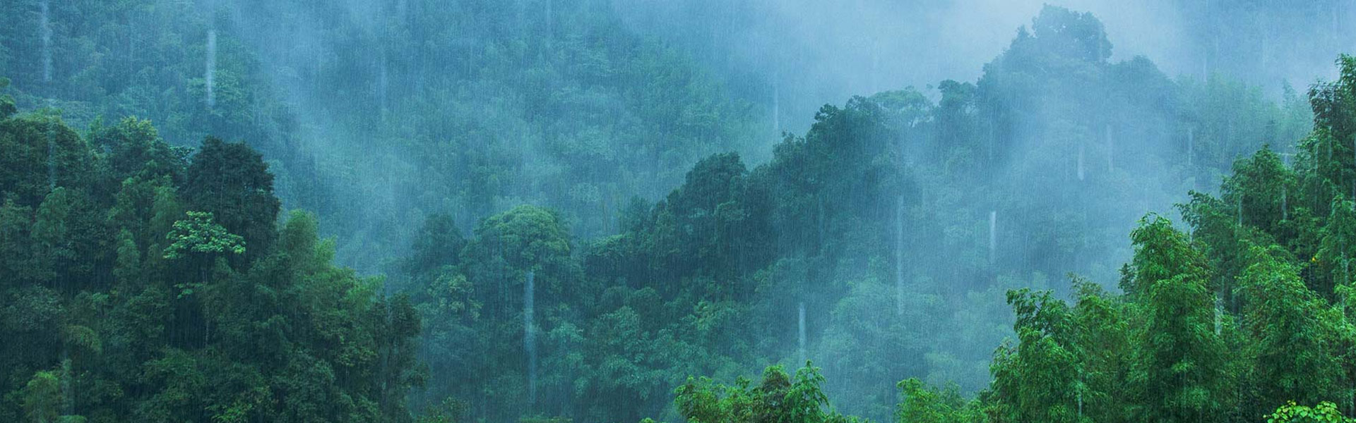 山東斯特萊環(huán)?？萍加邢薰? />
</div>
<div   id=